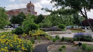 Artificial grass in Lewisville, TX